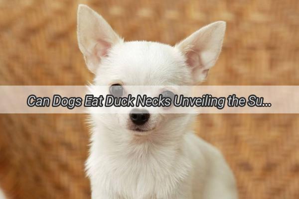 Can Dogs Eat Duck Necks Unveiling the Surprising Truth Behind Your Poochs Favorite Treat